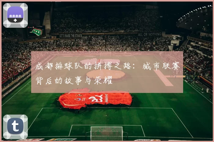成都排球队的拼搏之路：城市联赛背后的故事与荣耀