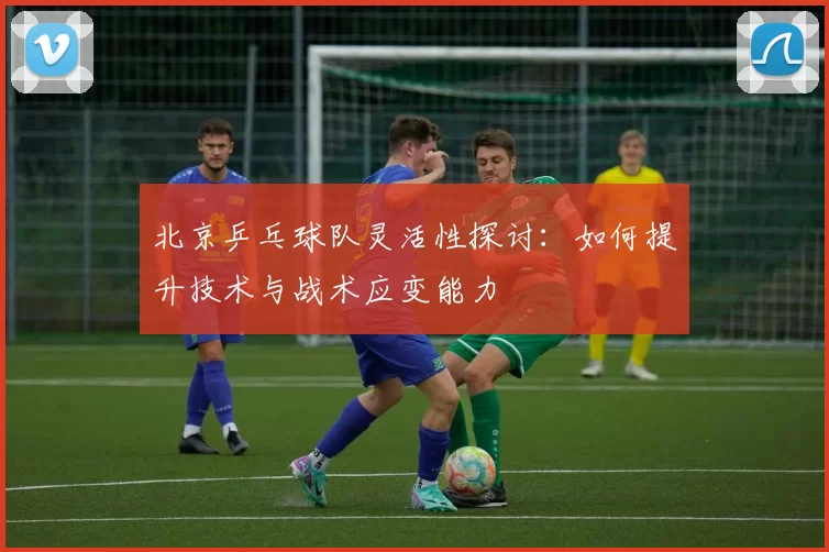 北京乒乓球队灵活性探讨：如何提升技术与战术应变能力