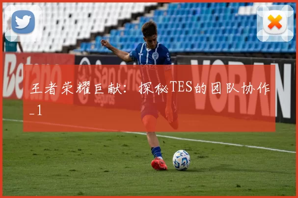 王者荣耀巨献：探秘TES的团队协作_1