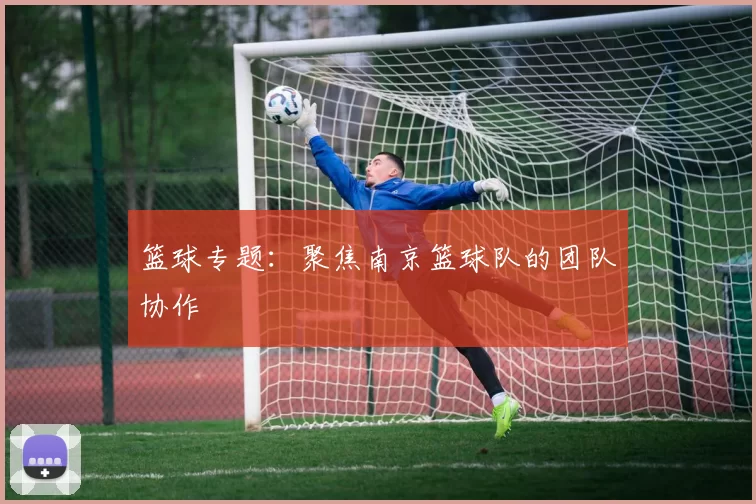 篮球专题：聚焦南京篮球队的团队协作