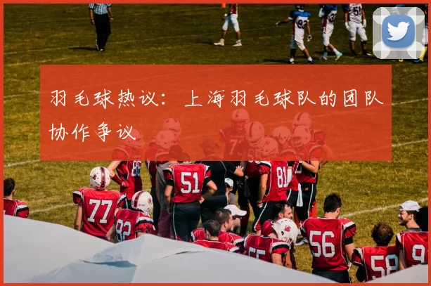 羽毛球热议：上海羽毛球队的团队协作争议