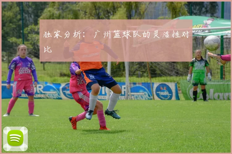 独家分析：广州篮球队的灵活性对比