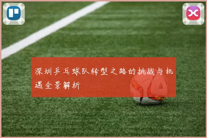 深圳乒乓球队转型之路的挑战与机遇全景解析