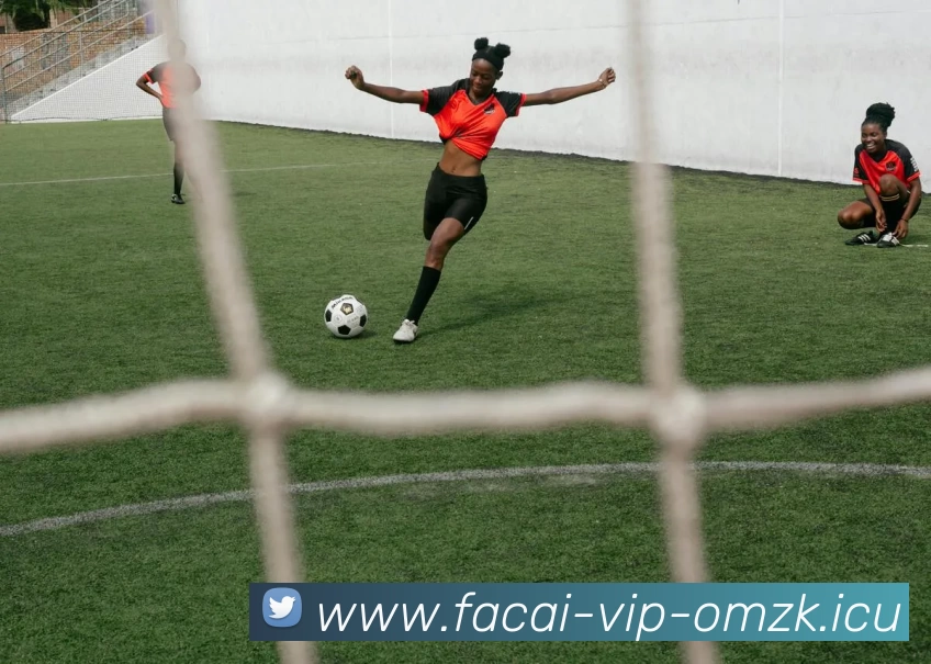 华体会体育APP 封面图